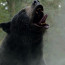 Cocaine Bear (2023) - Movie Review