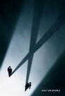 The X Files