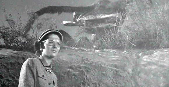 Them - DVD Review Them - DVD Review