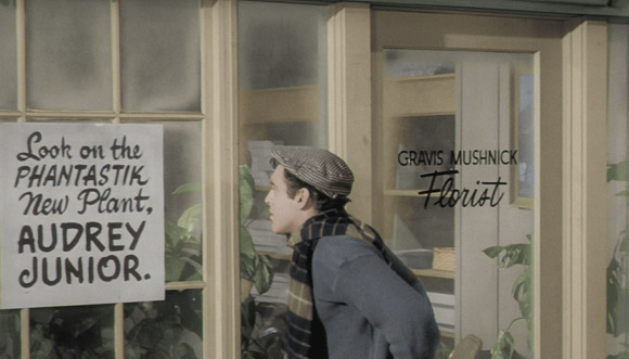 Little Shop of Horrors (1960) - Blu-ray Review Little Shop of Horrors (1960) - Blu-ray Review