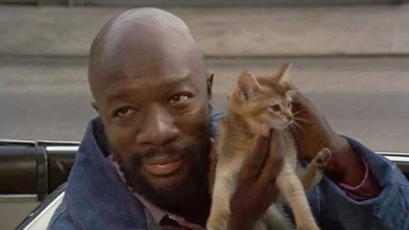 Truck Turner - Blu-ray Review Truck Turner - Blu-ray Review