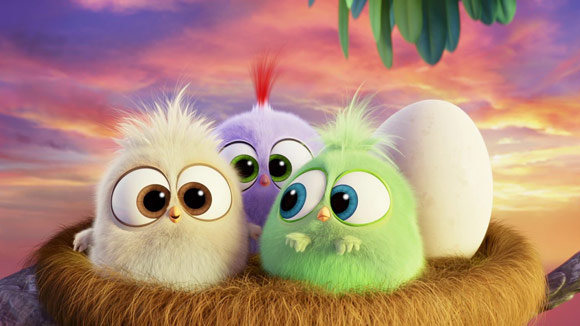 Angry Birds - Movie Review