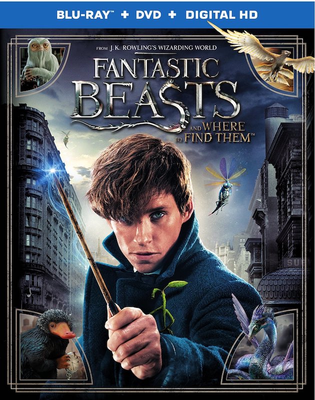 fantastic beasts poster