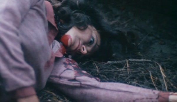 The Forest (1982) - Blu-ray Review