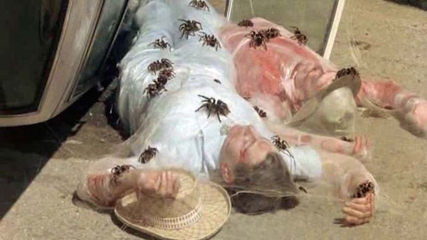 Kingdom of the SPiders (1977) - Blu-ray Review