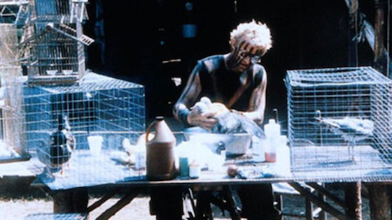 A Breed Apart (1984) - Blu-ray Review