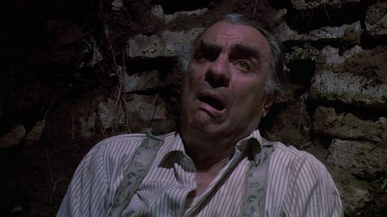 Revenge of the Dead (1983) - Blu-ray Review