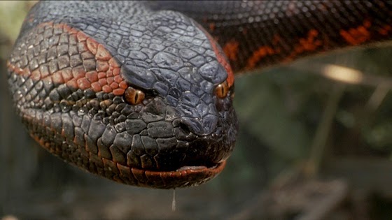 Anaconda (1997)