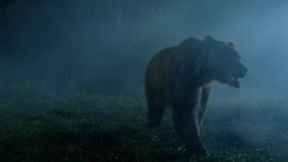 Berserker (1987)
