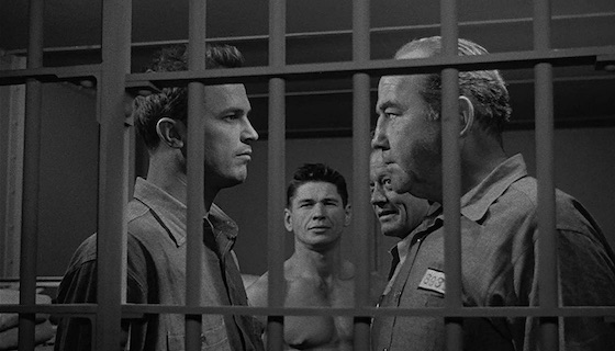 Film Noir: The Dark Side of Cinema, Volume I - Storm Fear Film Noir: The Dark Side of Cinema, Volume I - Storm Fear