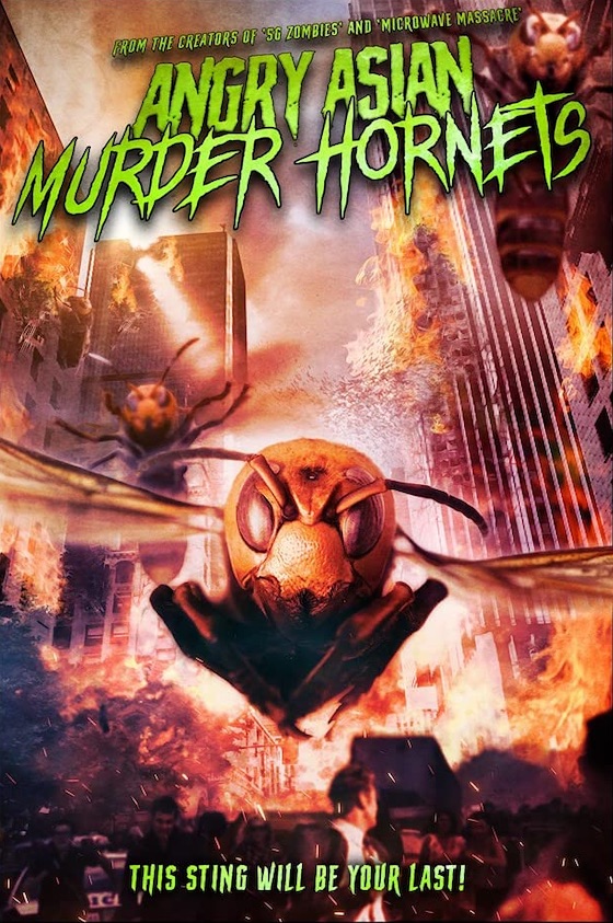 Angry Asian Murder Hornets