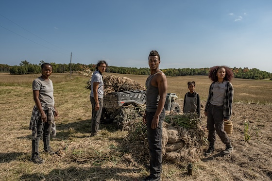 40 Acres (2025)