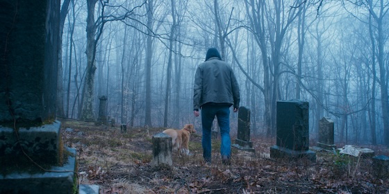 Good Boy (2025) Good Boy (2025)