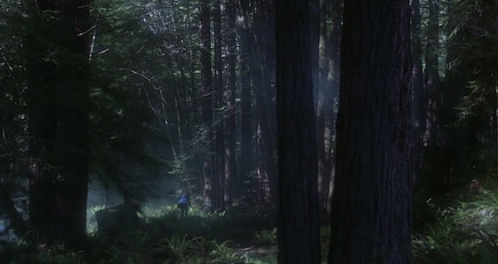 The Howling (1981) The Howling (1981)