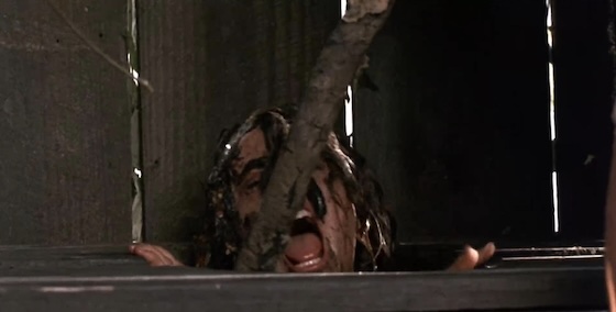 Sleepaway Camp II & III [Deluxe Limited Edition]