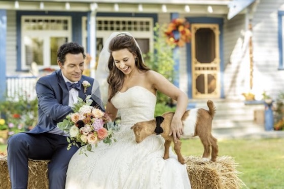 All of My Heart - The Wedding