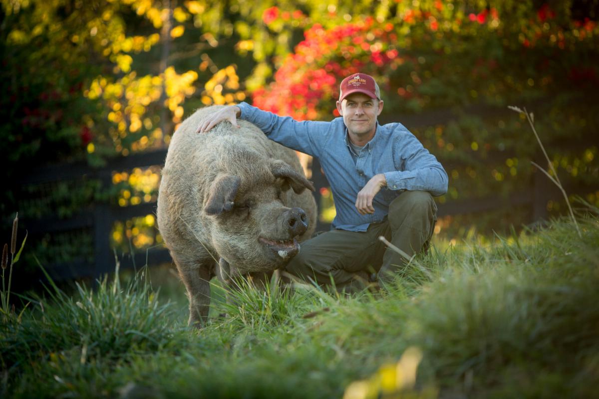 The Biggest Little Farm - Series The Biggest Little Farm - Series
