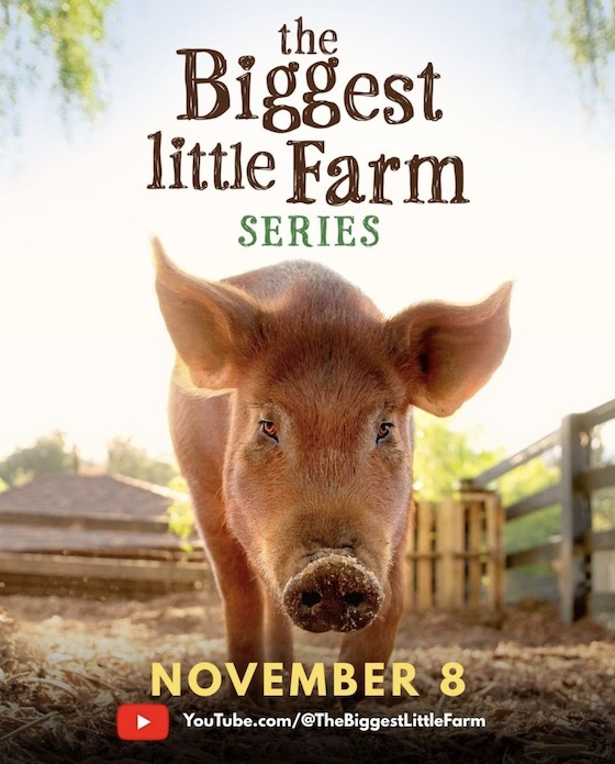 The Biggest Little Farm - Series