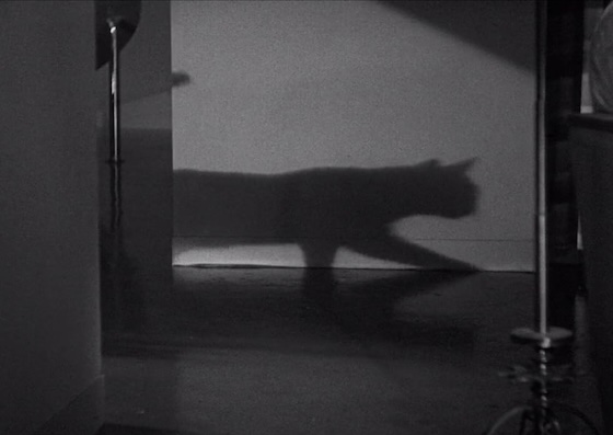 The Black Cat (1934) The Black Cat (1934)