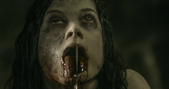 Evil Dead (2013) Evil Dead (2013)