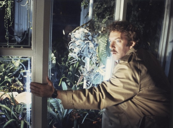 Invasion of the Body Snatchers (1978) 4K UHD + Blu-ray
