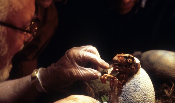 Jurassic Park (1993) Jurassic Park (1993)