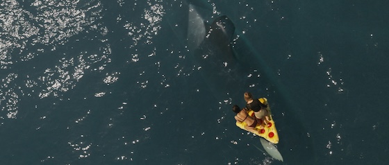 Killer Whale (2026)