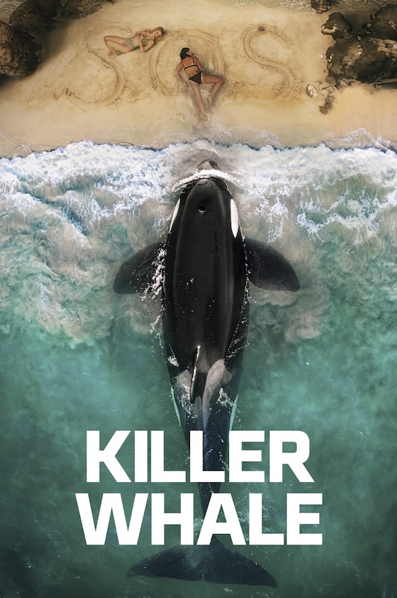 Killer Whale (2026)