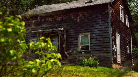 The Kinderhook Creature (2026) The Kinderhook Creature (2026)