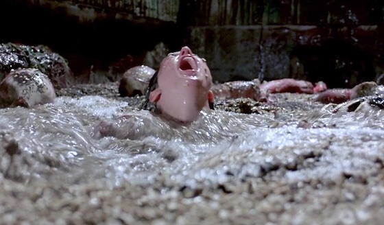 Phenomena (1985) Phenomena (1985)