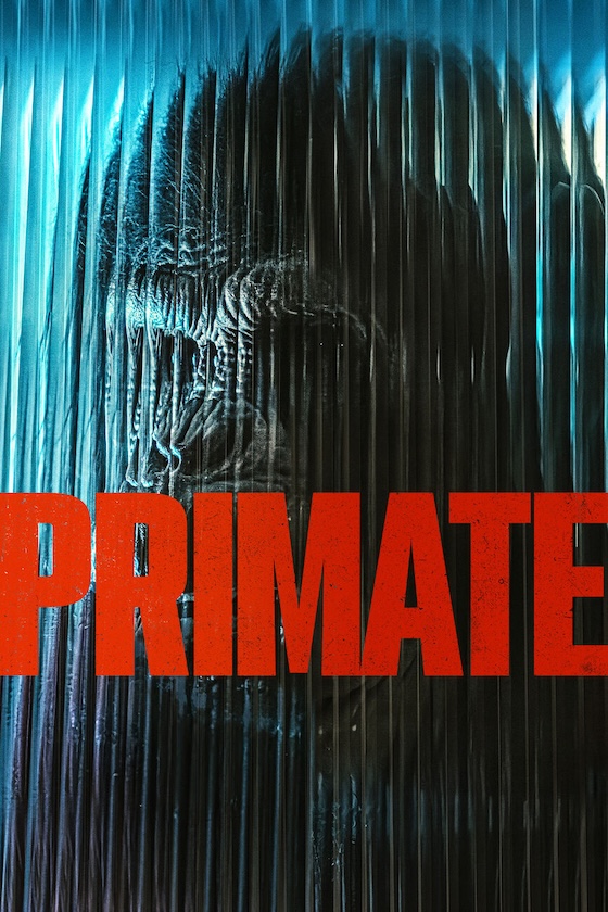 Primate