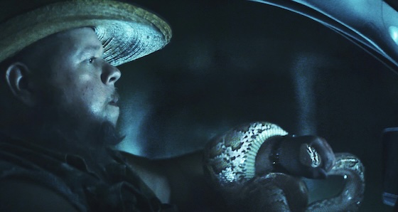 The Python Hunt (2025)