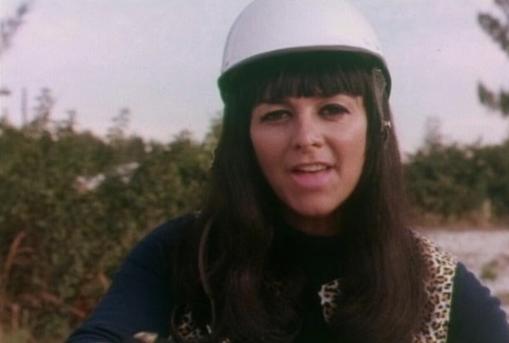 She-Devils on Wheels