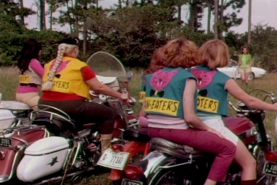 She-Devils on Wheels