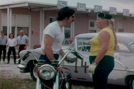 She-Devils on Wheels