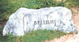 The marker on belushi's grave at Abel's Hill Cemetery, Martha's Vineyard, Massachusetts.