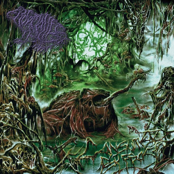 Frog Mallet’s Consumed By Frogs (2026)