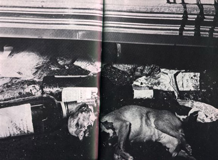 Jayne Mansfield Car Crash Pics