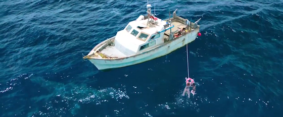 47 Meters Down: The Next Chapter - Movie Trailer