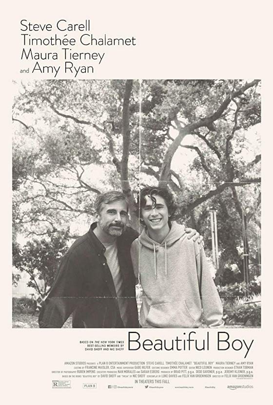 Beautiful Boy - Movie Trailer