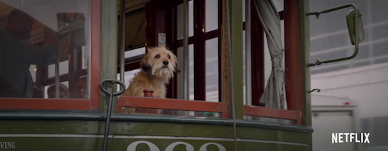 Benji - Movie Trailer