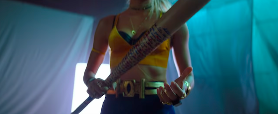 Birds of Prey Birds of Prey