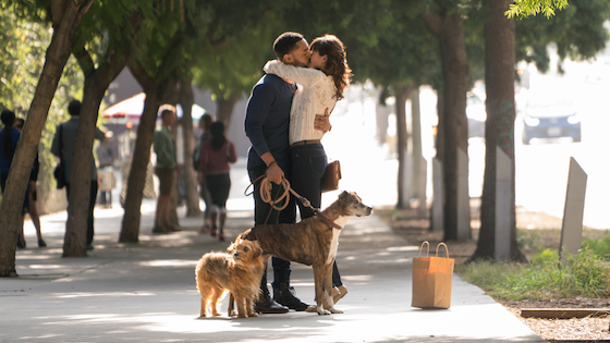 Dog Days - Movie Trailer
