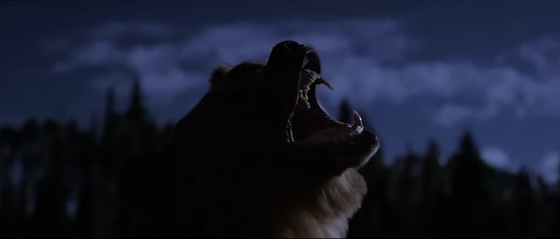 GRIZZLY NIGHT (2026)