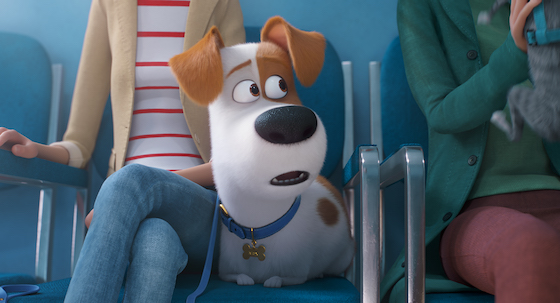 The Secret Life of Pets 2 - Trailer