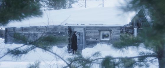 Winterskin (2019)